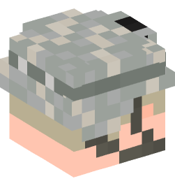 Minecraft head — People