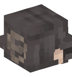 Minecraft head — People