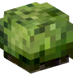 Minecraft head — Plants