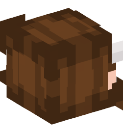 Minecraft head — People