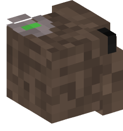 Minecraft head — People