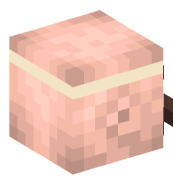 Minecraft head — People