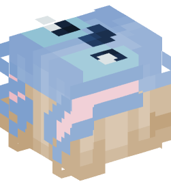 Minecraft head — People