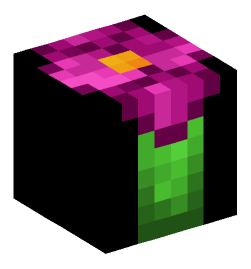 Minecraft head — Decor