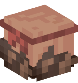 Minecraft head — Decor