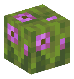 Minecraft head — Plants