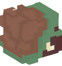 Minecraft head — People