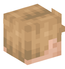 Minecraft head — People