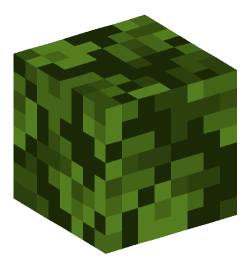 Minecraft head — Plants