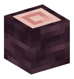 Minecraft head — Blocks