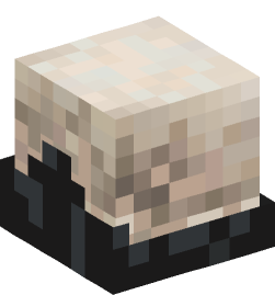 Minecraft head — Creatures