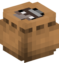 Minecraft head — Decor