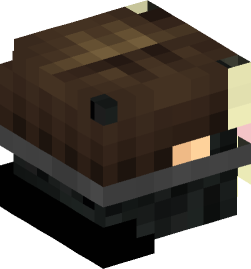 Minecraft head — People