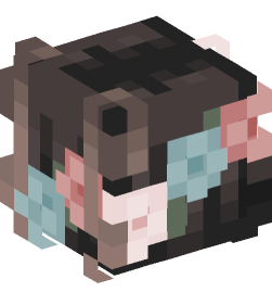 Minecraft head — People