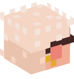 Minecraft head — People