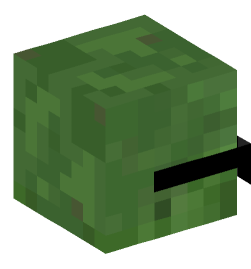 Minecraft head — Creatures