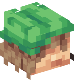 Minecraft head — People