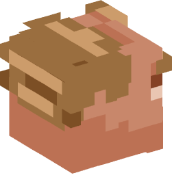 Minecraft head — People