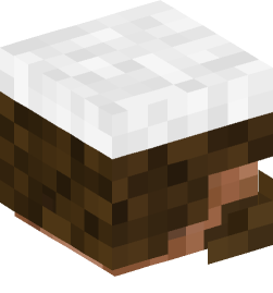 Minecraft head — People