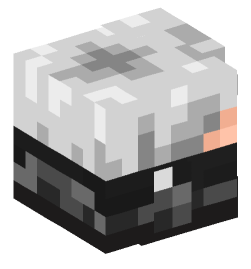 Minecraft head — Decor