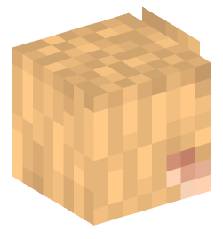 Minecraft head — People