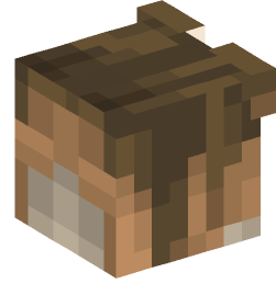 Minecraft head — Animals