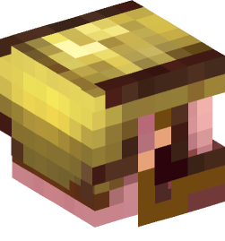 Minecraft head — People