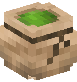 Minecraft head — Decor