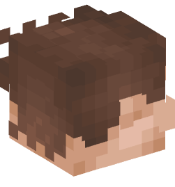 Minecraft head — People