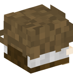 Minecraft head — Decor