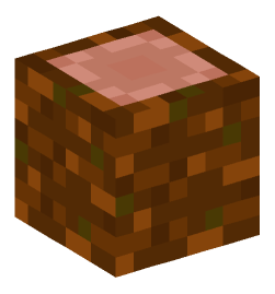 Minecraft head — Blocks