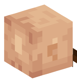 Minecraft head — People