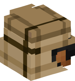 Minecraft head — People