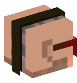 Minecraft head — People