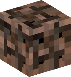 Minecraft head — Blocks