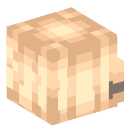 Minecraft head — People