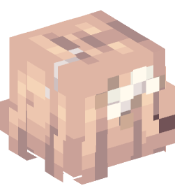 Minecraft head — People