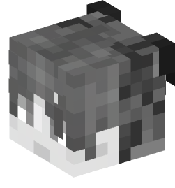 Minecraft head — Decor