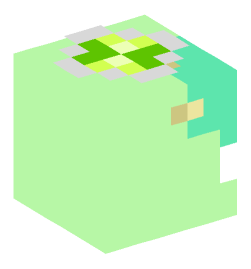 Minecraft head — Creatures