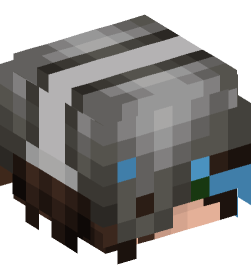 Minecraft head — People