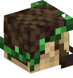 Minecraft head — People