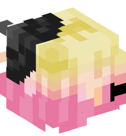 Minecraft head — People