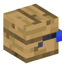 Minecraft head — Decor