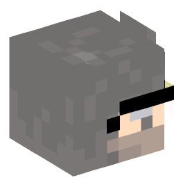 Minecraft head — People