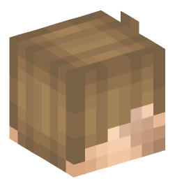 Minecraft head — People