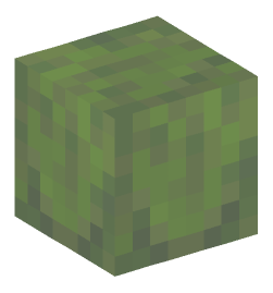 Minecraft head — Blocks