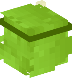 Minecraft head — People