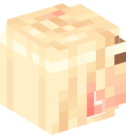 Minecraft head — People