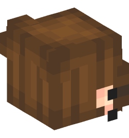 Minecraft head — People