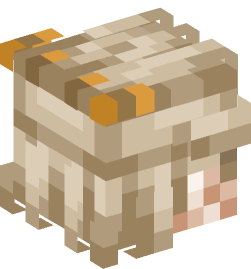 Minecraft head — People